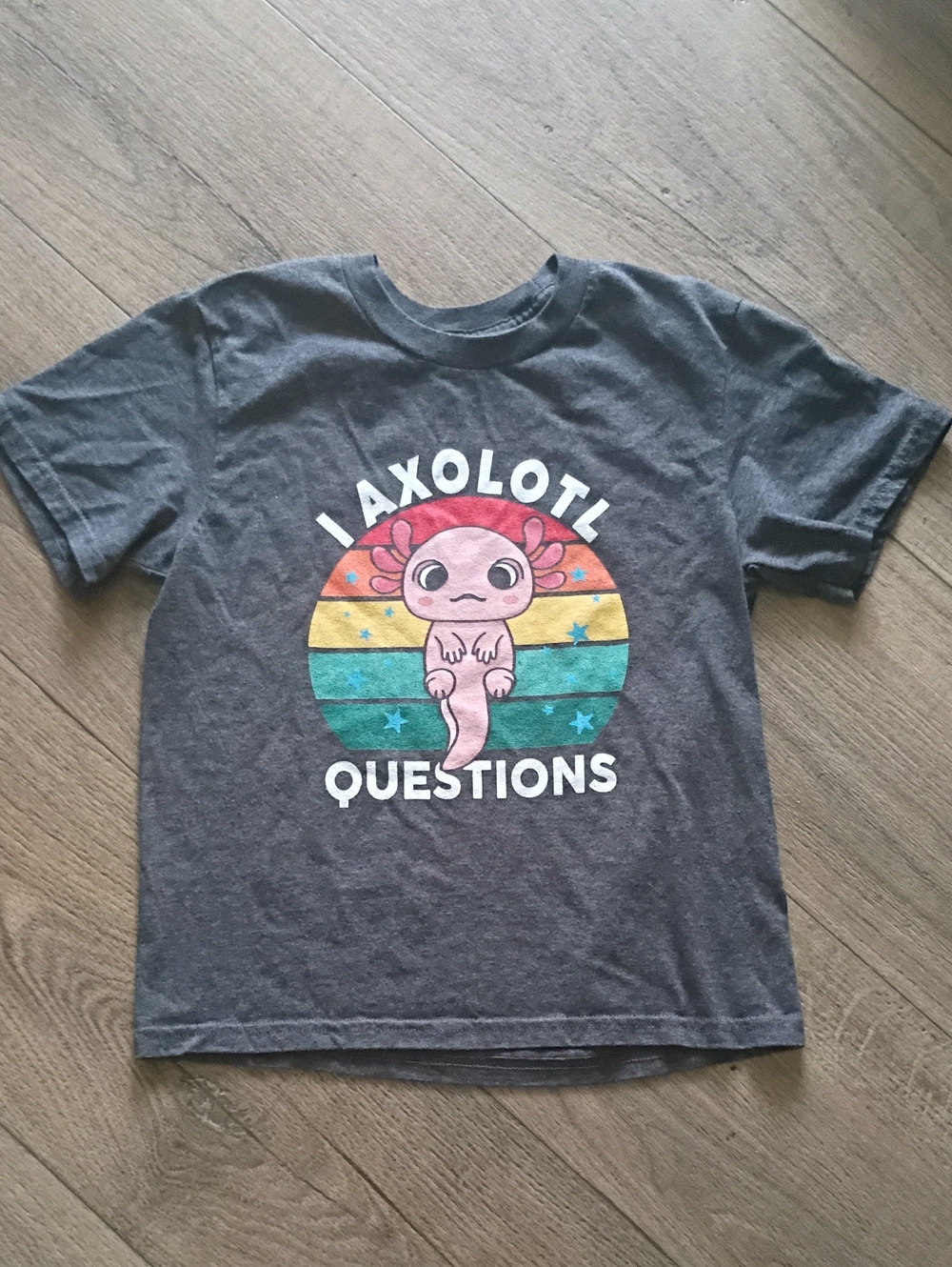 I Axolotl Questions Graphic Tee With A Play On Words Unisex